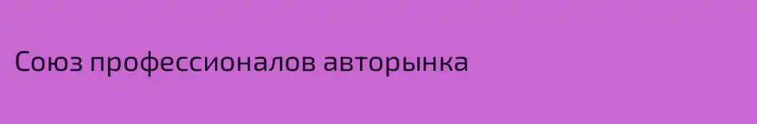 Союз профессионалов авторынка